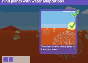 Plant and Animal Adaptations Online Activity