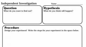 Scientific Investigations Worksheet