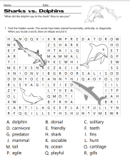 sharks vs dolphins word search