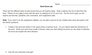 understanding sand dunes lab