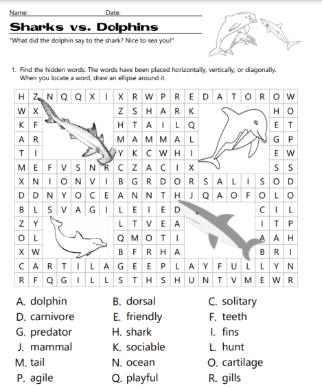 sharks vs dolphins word search