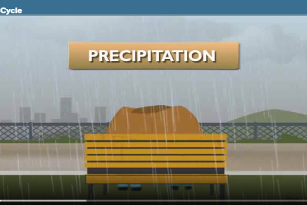 The Water Cycle Video