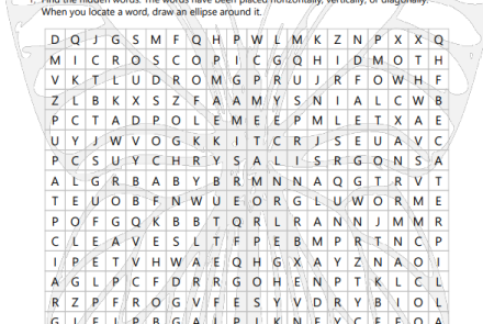 Metamorphosis Vocabulary Word Search