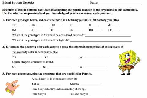 Sponge Bob Genetics Lab Activity Educational Resource