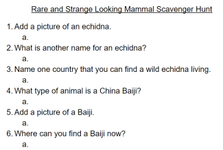 Weird Animal Scavenger Hunt