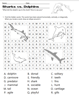 Sharks vs. Dolphins Word Search Image