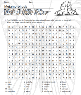 Metamorphosis Vocabulary Word Search