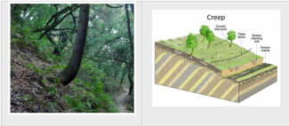 Understanding Mass Movement Erosion Types