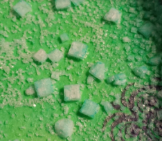 Earth Science Salt Crystal Formation Lab