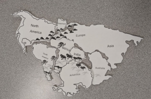 Continental drift puzzle image