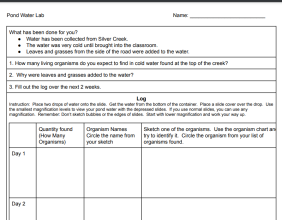 pond water lab image