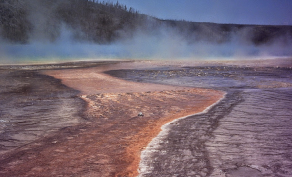 yellowstone project image