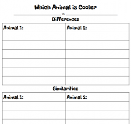 compare and contrast animals activity image