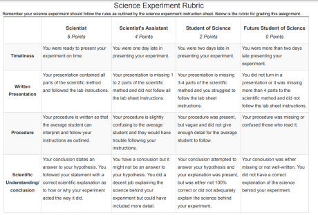 science experiment rubric image