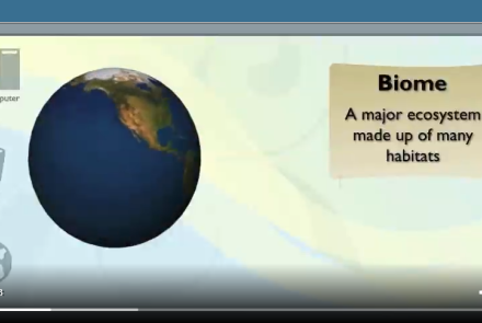 Habitat and Biomes Video