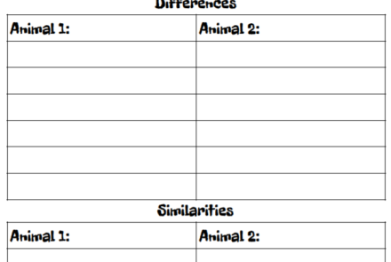 comparing and contrasting animals
