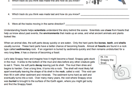 Unearthing the Past: Fossil Fascination Unleashed Image
