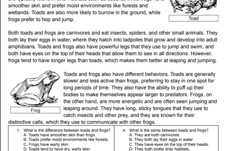 Compare and Contrast Toads and Frogs Reading Text with Questions.Image