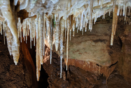 Cave Formations and Information Investigation worksheet