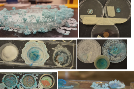 oxidize a copper penny science lab