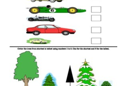 Compare length and height worksheet