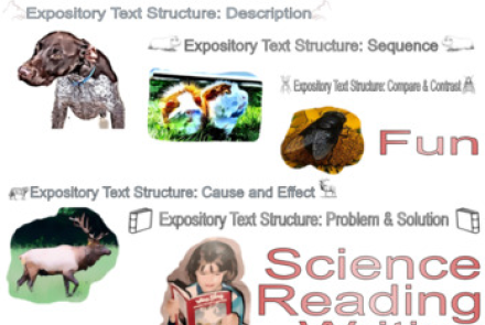 Expository Text Structures or Types