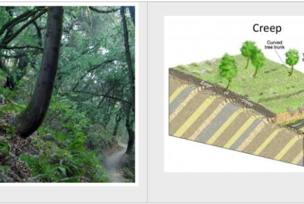 Understanding Mass Movement Erosion Types