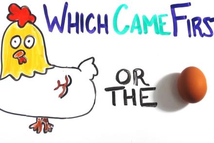Embedded thumbnail for Which came first? The chicken or the egg? Video