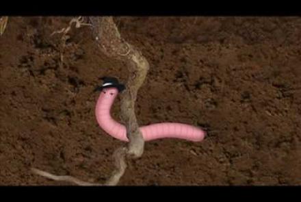 Embedded thumbnail for I Dig This Town: Soil Song and Video