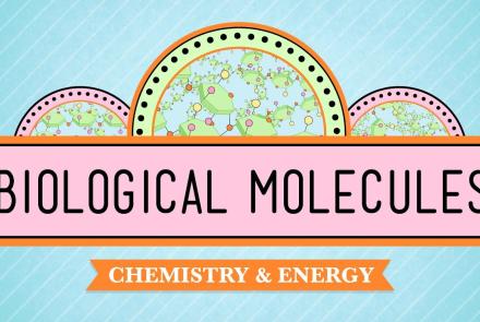 Embedded thumbnail for Biological Molecules-You are what you eat. Video