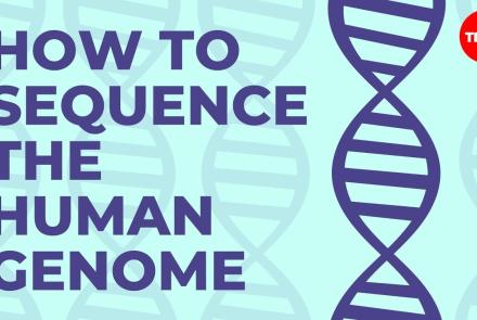 Embedded thumbnail for The Human Genome Sequence Video