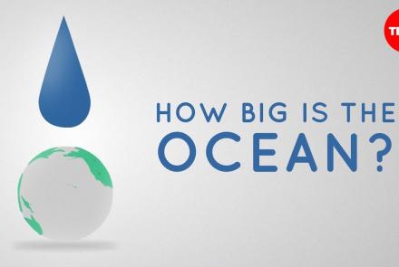 Embedded thumbnail for How big is the ocean? Video