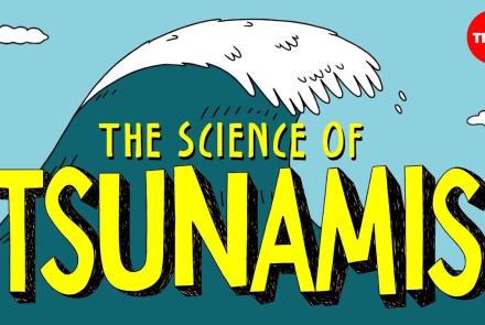 Embedded thumbnail for Tsunamis the great wave Video