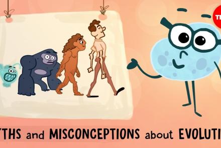 Embedded thumbnail for Misconceptions about Evolution Video