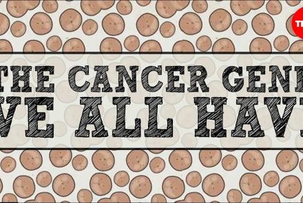 Embedded thumbnail for Cancer Genes Genes