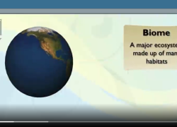 Habitat and Biomes Video