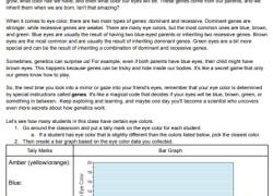 Eye Color Genetics Reading Passage and Experiment Worksheet