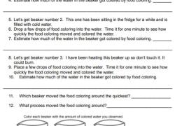 Convection: Transferring Heat Energy from the Sun Reading Passage and Lab image