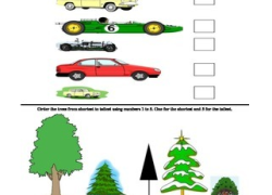 Compare length and height worksheet