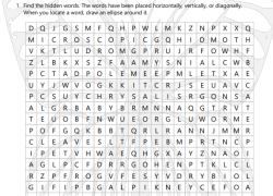 Metamorphosis Vocabulary Word Search