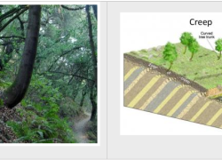 Understanding Mass Movement Erosion Types
