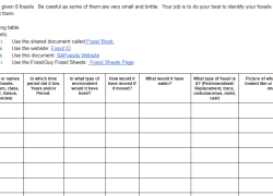 Earth Science Fossil Identification Lab: Editable Google Doc