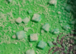 Earth Science Salt Crystal Formation Lab