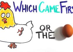 Embedded thumbnail for Which came first? The chicken or the egg? Video