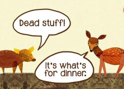 Embedded thumbnail for Dead stuff, part of the food web. Video